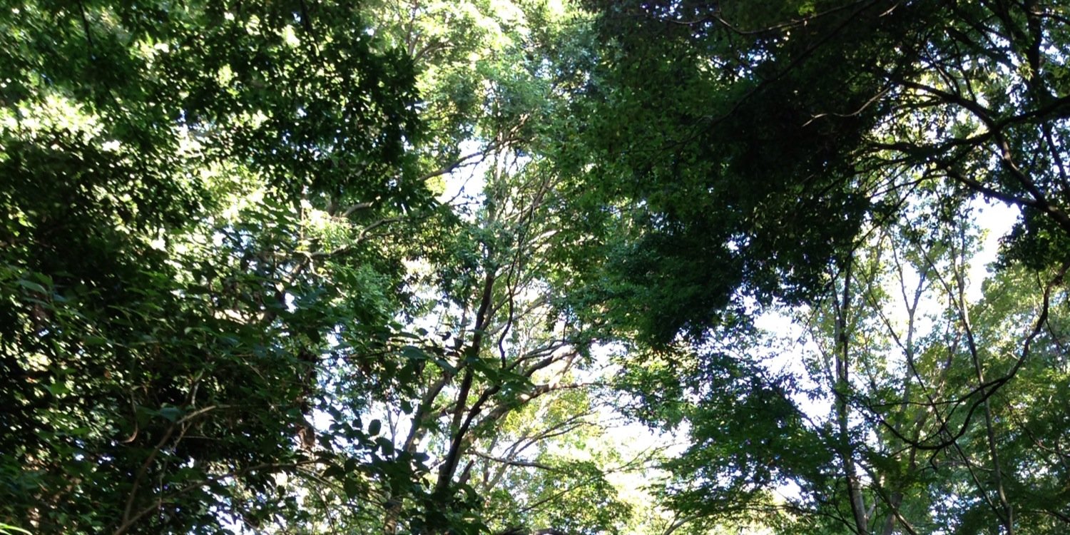 つれづれまなてぃ's banner