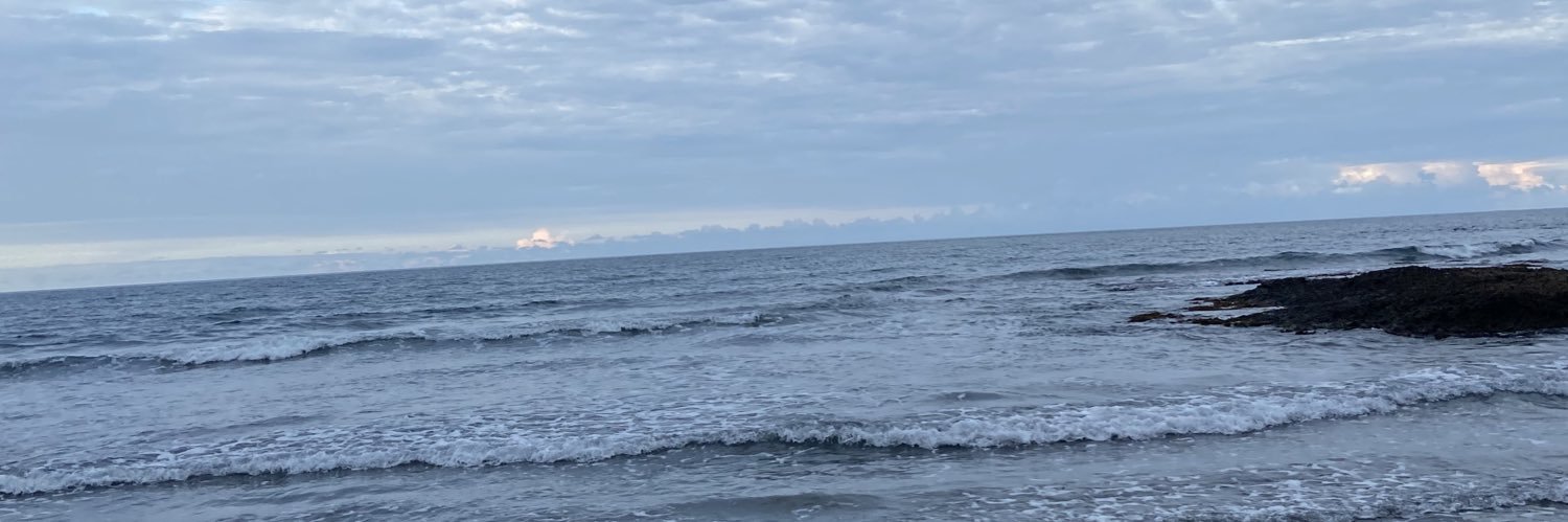 LaureenH2's profile banner image