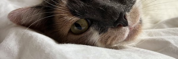 maanlrt Profile Banner