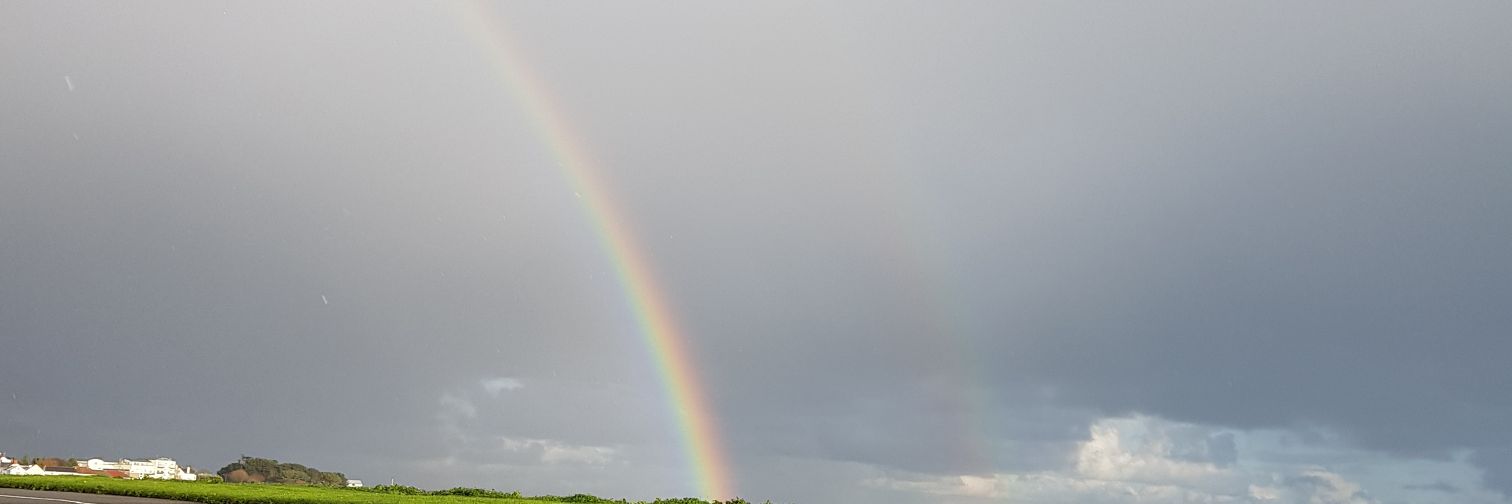 bexstergsy's profile banner image