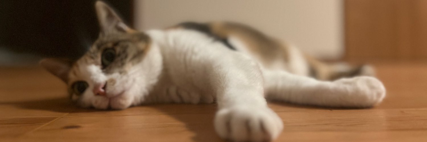 れっ®︎🐱 banner