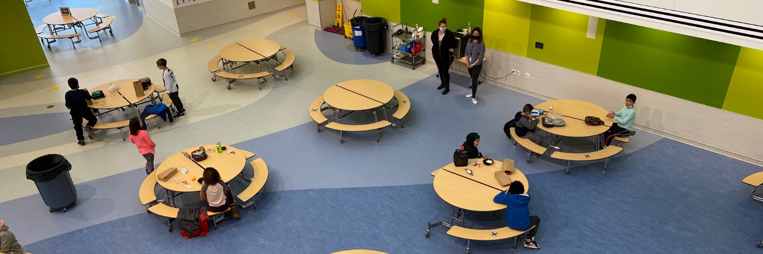 Lindsey Eisenstein banner