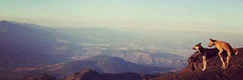 meeeira_'s profile banner image