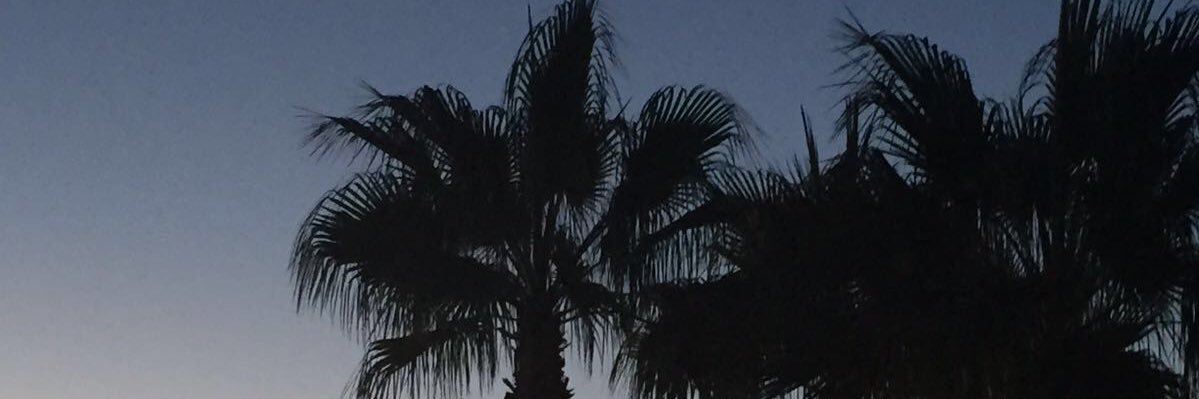 daylight1971's profile banner image