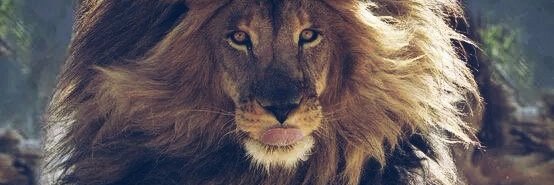 G_Leon6's profile banner image