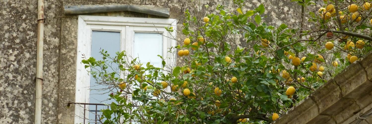 Paola Visentin 🐸 banner