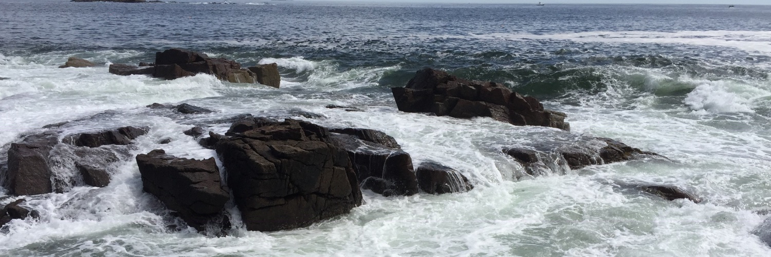 Misty Melendi banner