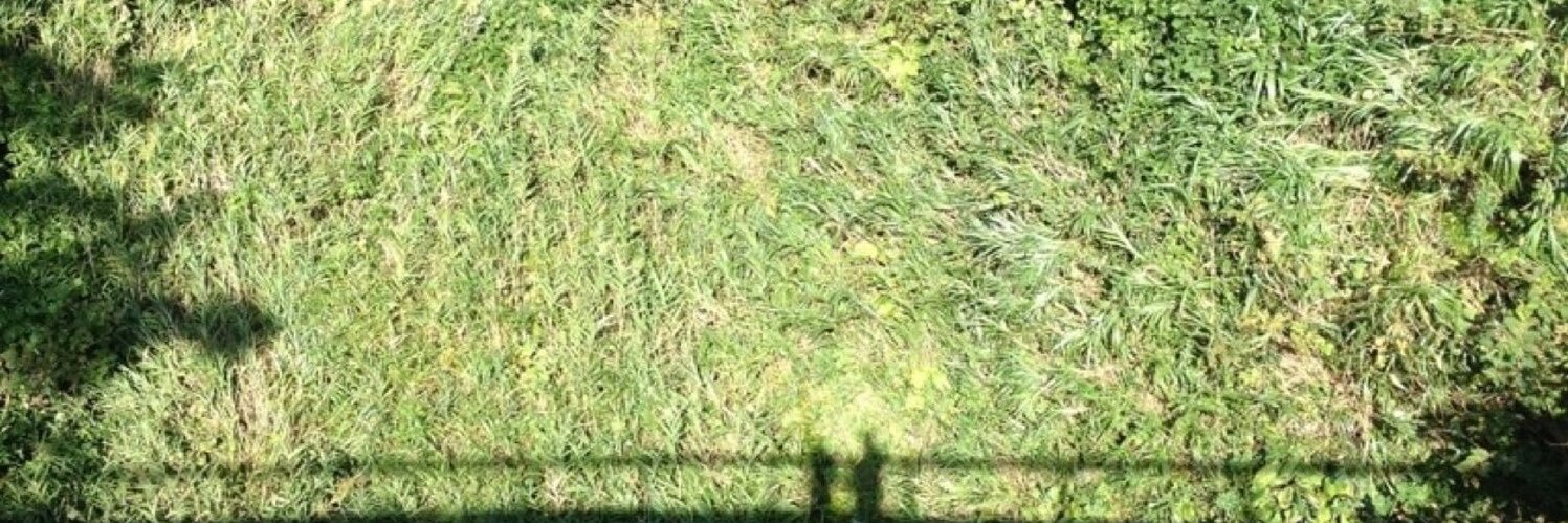 korochanman's profile banner image