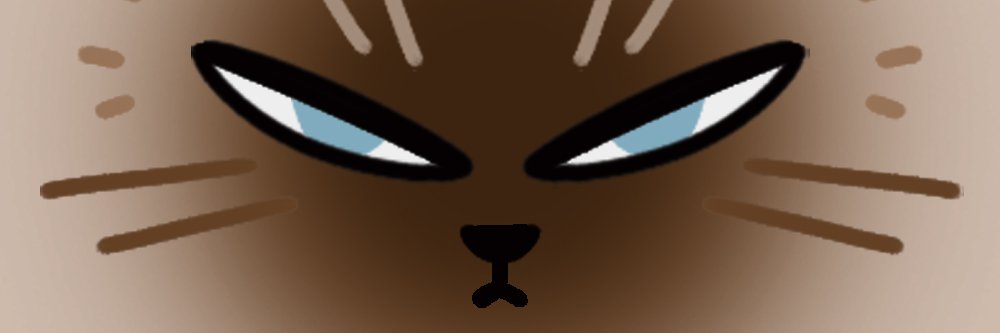 Reco_daze's profile banner image