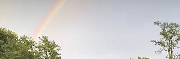 marimon_8's profile banner image