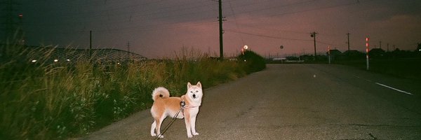 umzzgwsh Profile Banner