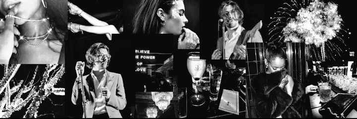 Arya banner