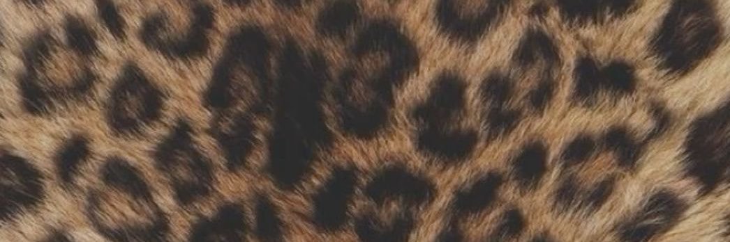 callmegwayne's profile banner image