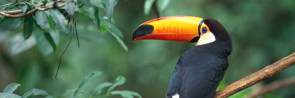 MyrieGarfield Profile Banner