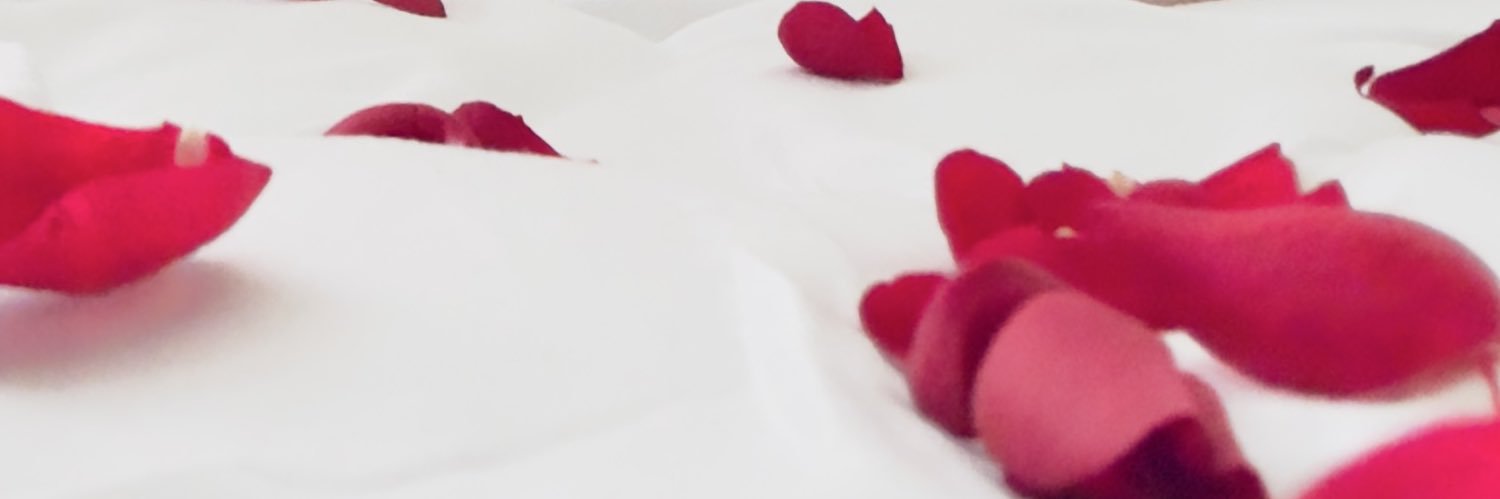 gucci banner