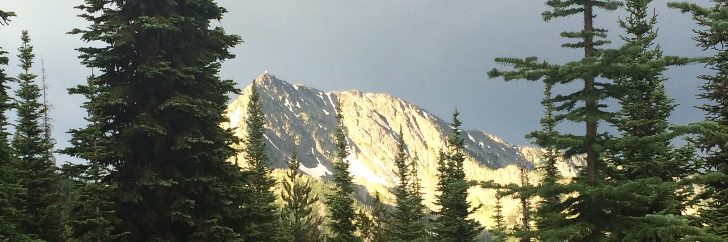 aprilvanert's profile banner image