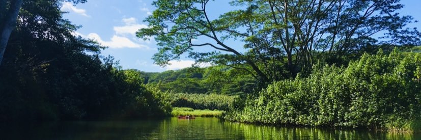 Mike Tetreault banner