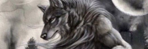 qurr's banner
