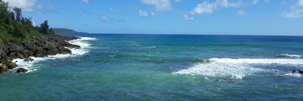 FanCoralLab Profile Banner