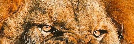 karapnargs's profile banner image