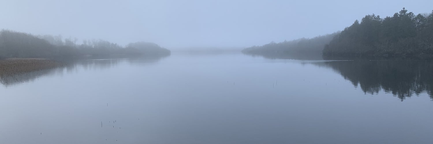 Deirdre O'Loughlin banner