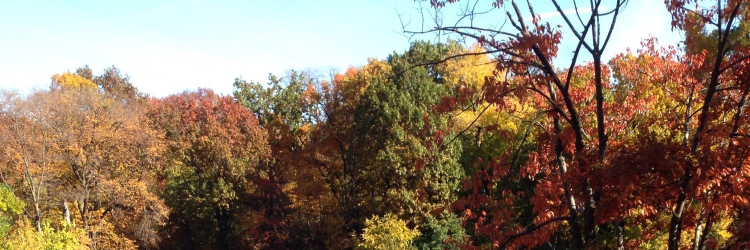 Patts84's profile banner image