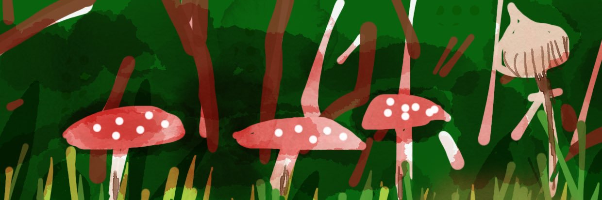 CurtVole's profile banner image