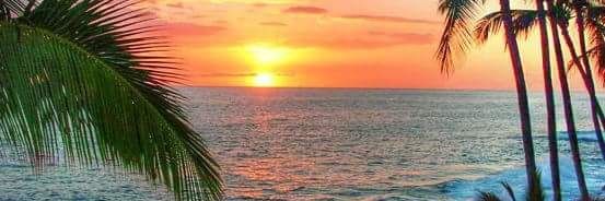 Hawaiike_'s profile banner image