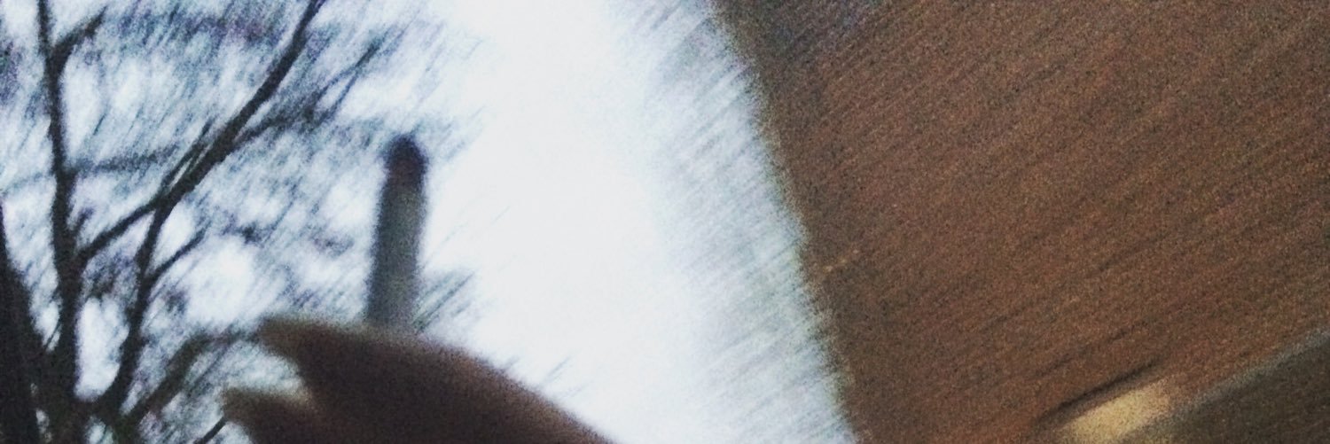_fancyfox's profile banner image