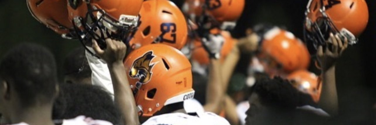 CoachBozWorldwide banner