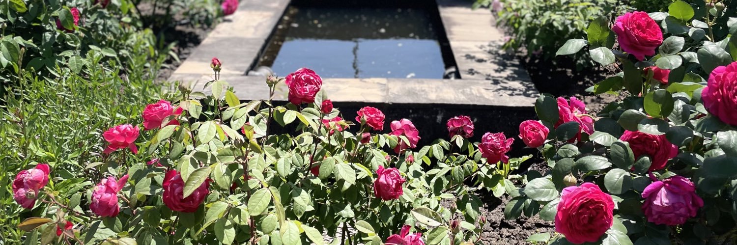 𝕤𝕒𝕜𝕦𝕞𝕒🜸 banner