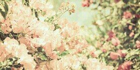 yr_choijina's profile banner image