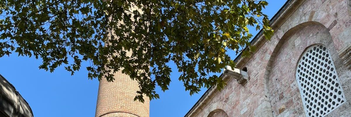zehraleasy's profile banner image