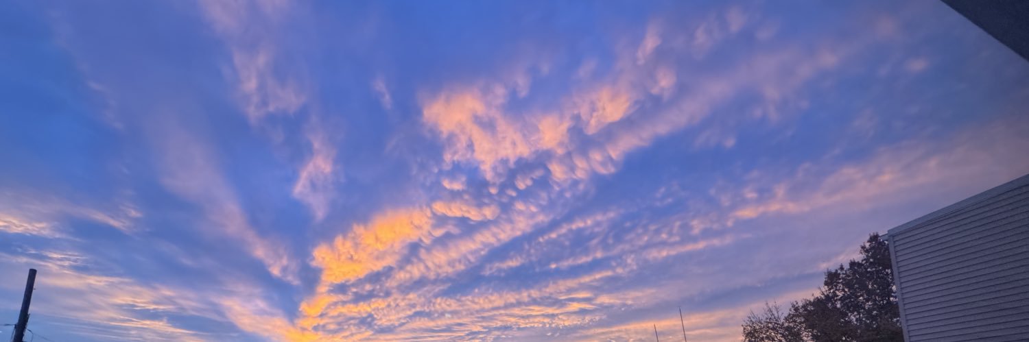 LiBRASimpson's profile banner image