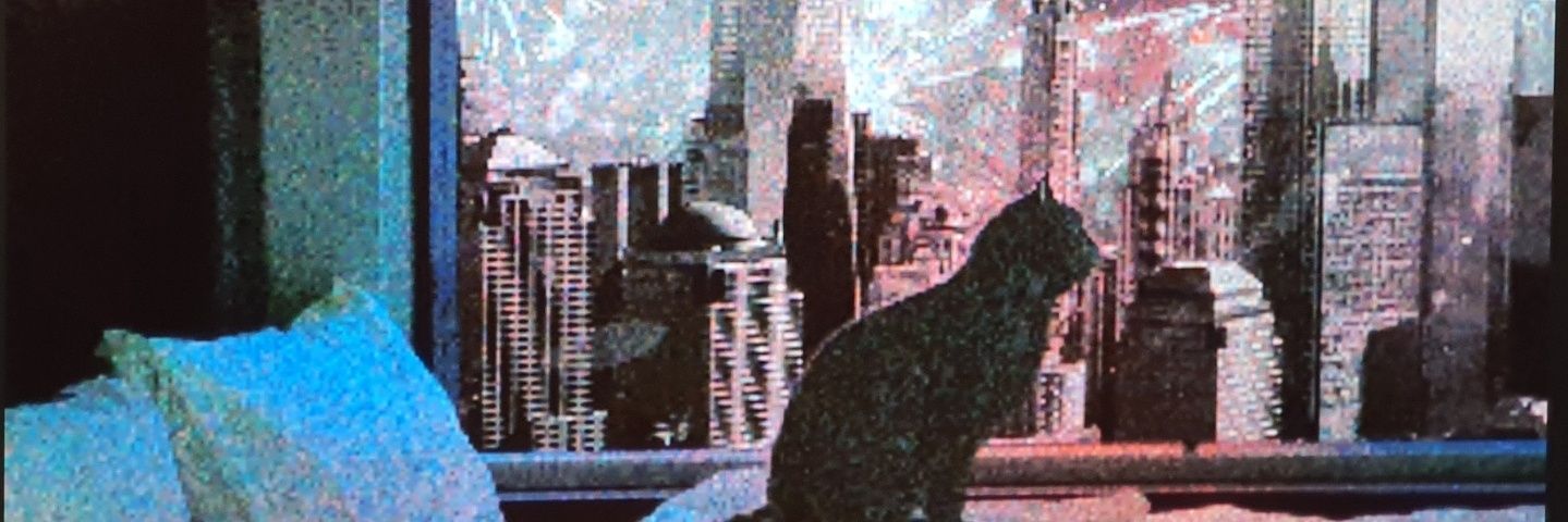 healer_214's profile banner image