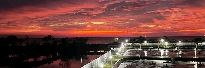 Sotobetawisanten banner