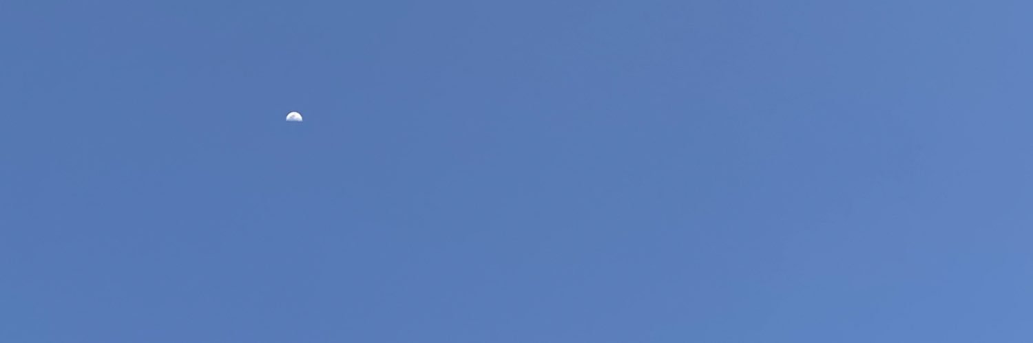 tsaaans's profile banner image