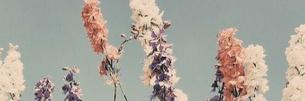 Doaa96715308 Profile Banner