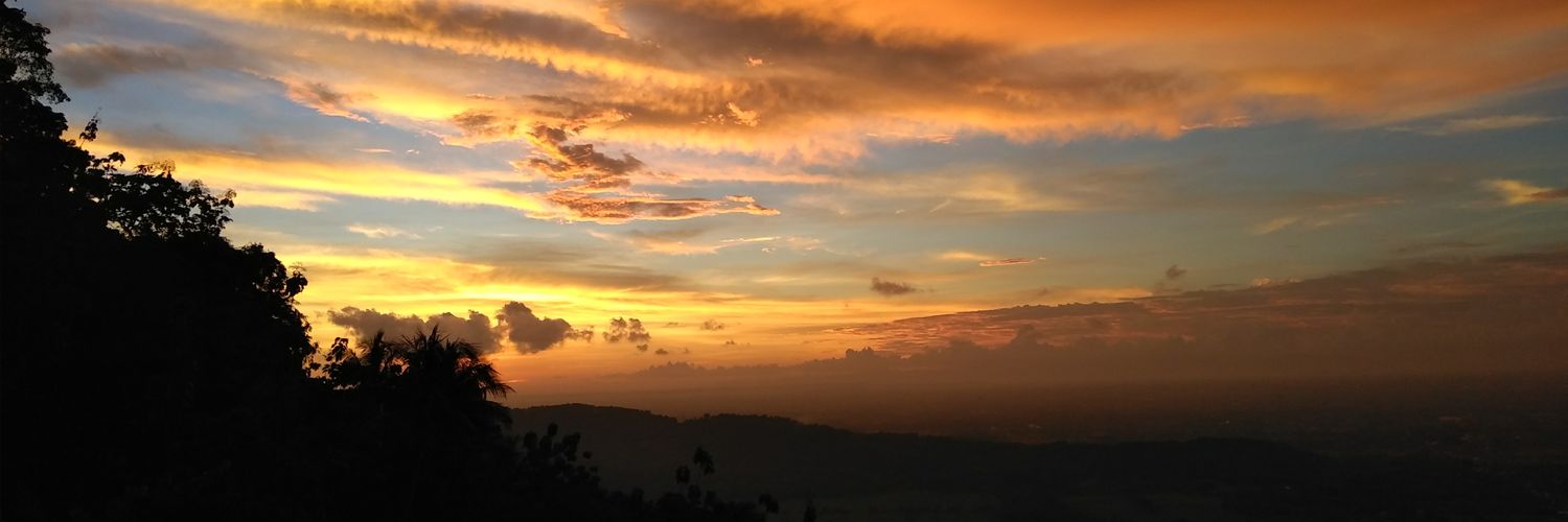 inginoasis23's profile banner image