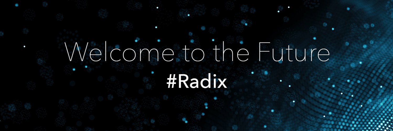 Radix Ecosystem News banner