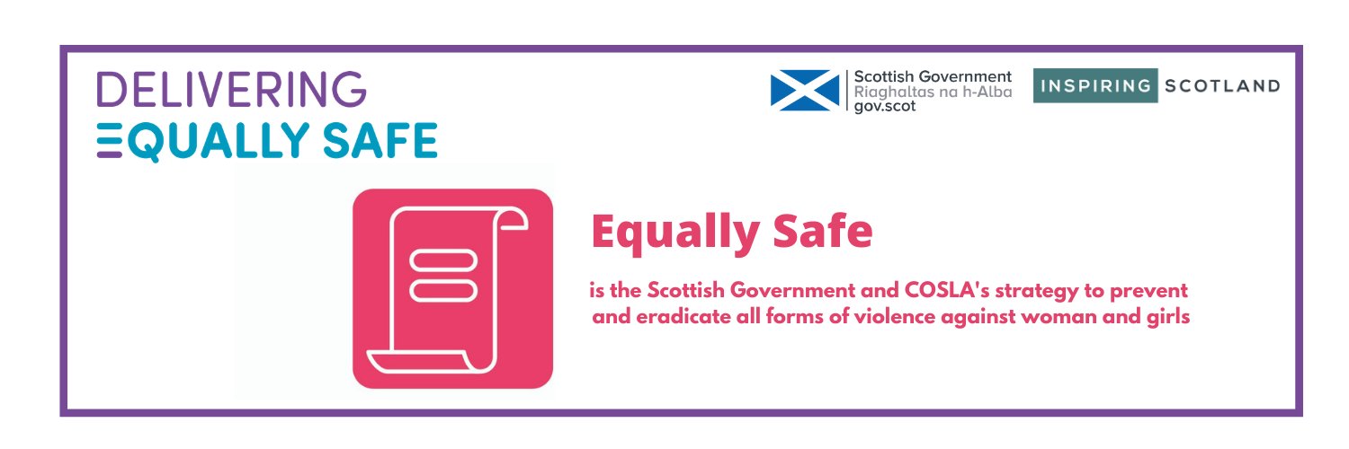 Delivering Equally Safe banner