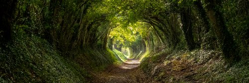 Ankit Singhania banner