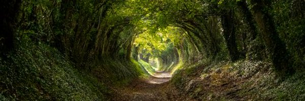 ankitCoder1993 Profile Banner