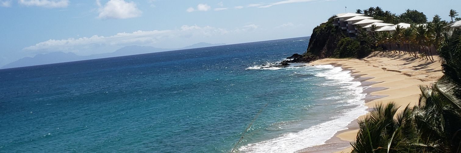 SberryYayo's profile banner image