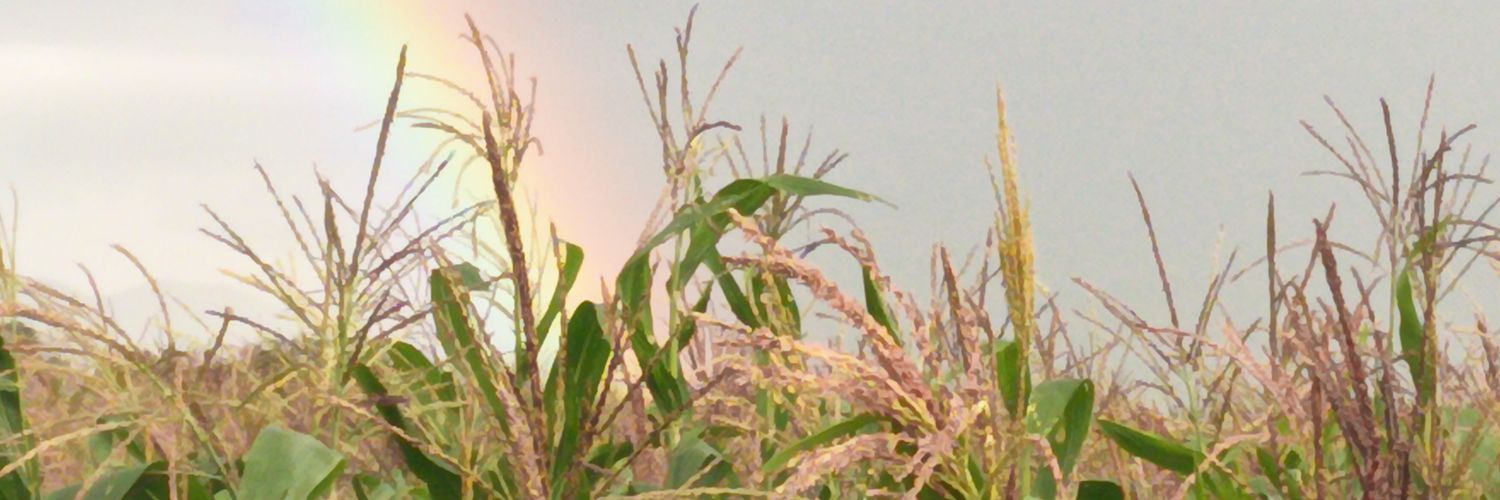 gary726's profile banner image