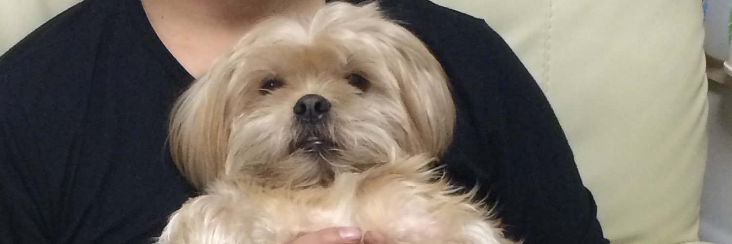 heikoo's profile banner image