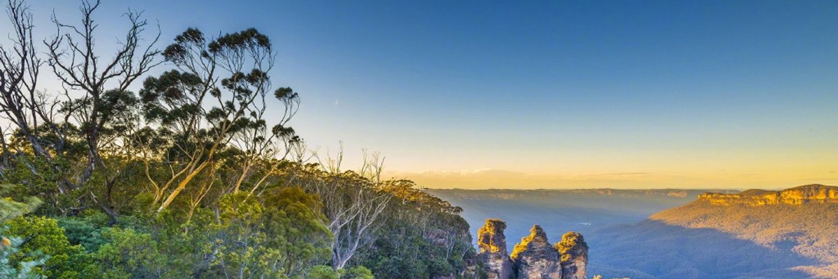 seffrieany's profile banner image