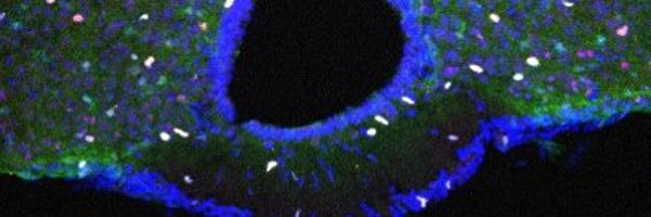 DavidPetrik77 Profile Banner