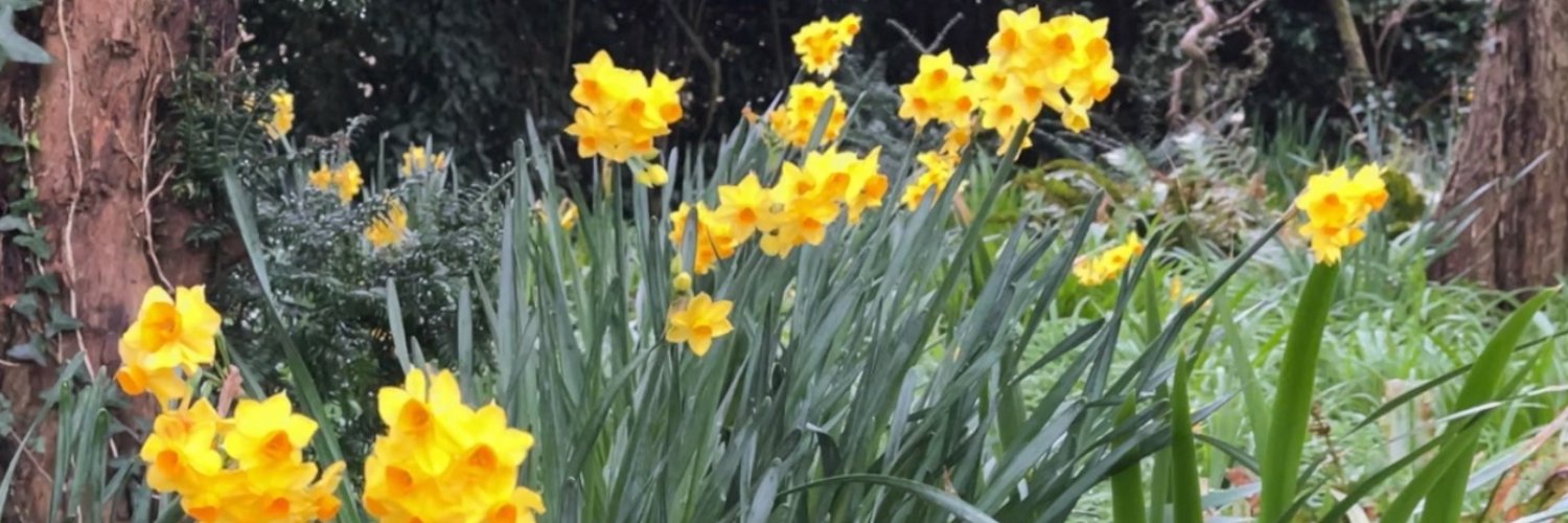 BBC Guernsey's banner