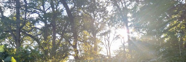 sugandhasri Profile Banner